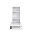 Rear view of Zemits Premium Trolley S professional aesthetic device stand with storage shelves